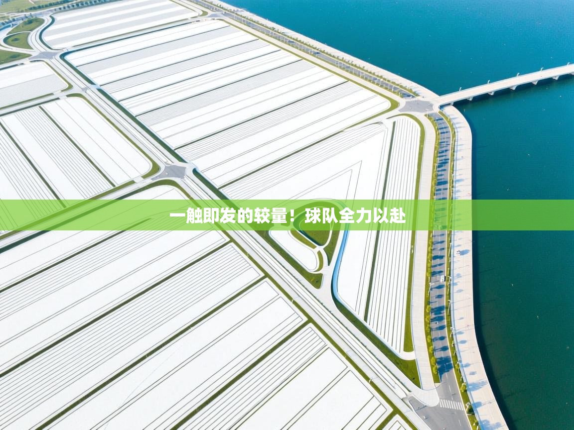 一触即发的较量!球队全力以赴 第2张