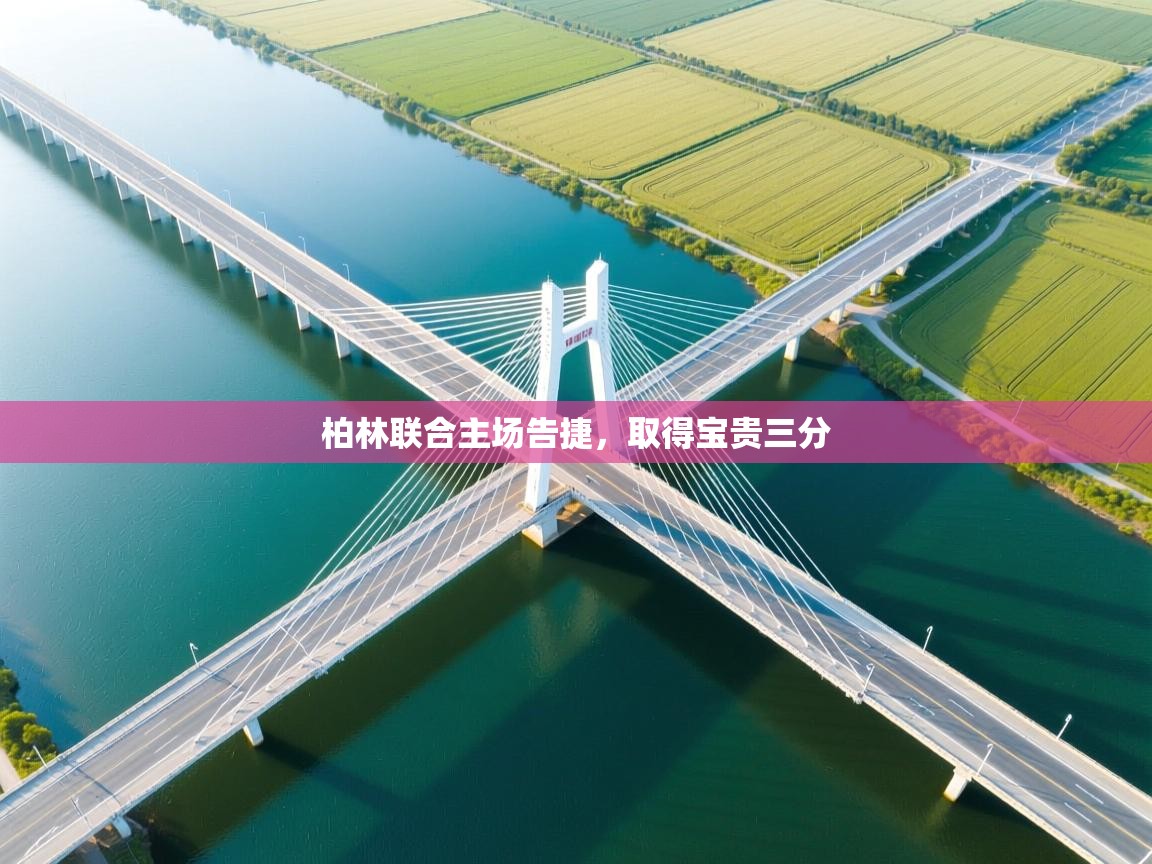 柏林联合主场告捷，取得宝贵三分  第1张