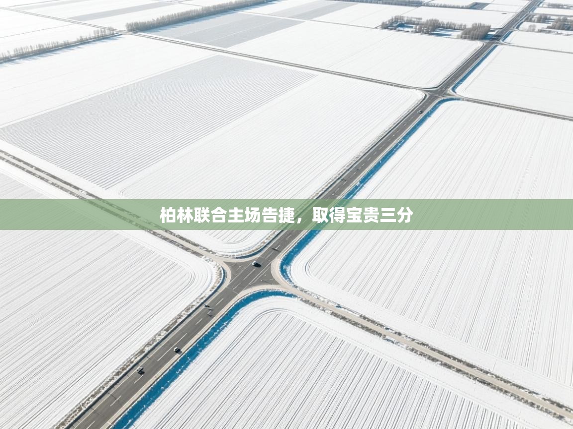 柏林联合主场告捷，取得宝贵三分  第2张